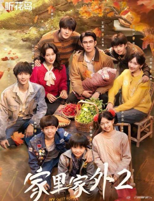 治婆婆还得婆婆的婆婆来 谁懂这种爽感！《家里家外2》霸道婆婆蛮不讲理，祖祖出山血