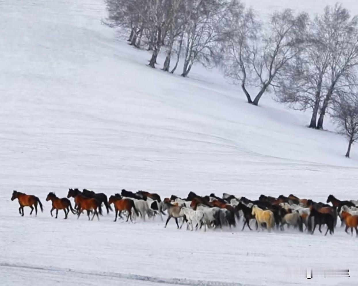 我的下联是：冬雪有意孕新枝。