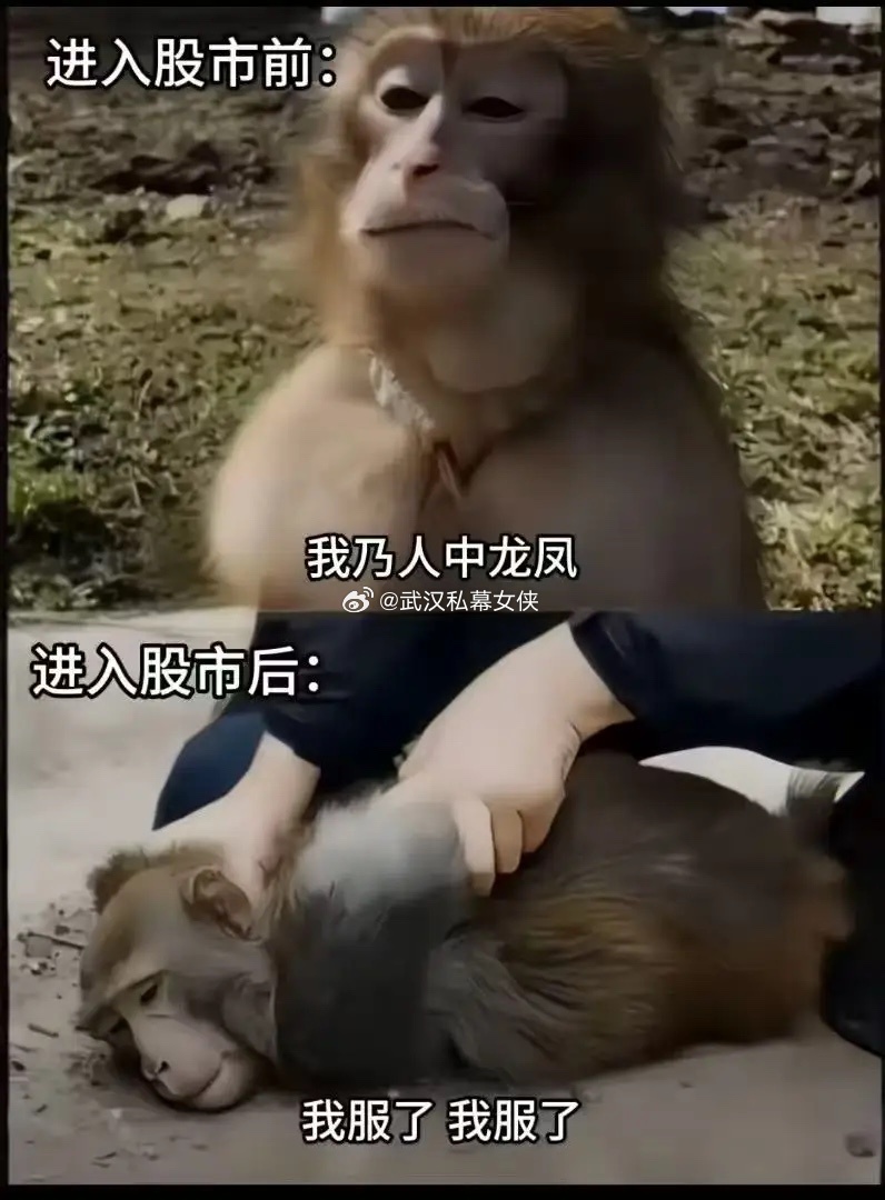 投资不是比谁快，而是比谁“能等”。你有没有遇到过这种情况：你选了一家不错的公司，