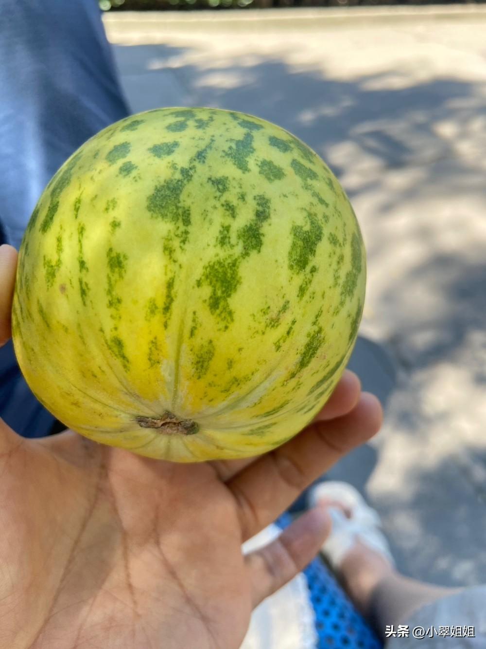 现在的甜瓜一点也不甜！
昨天我在菜市场买了两个花蕾甜瓜！
说是甜瓜，就有一点甜味