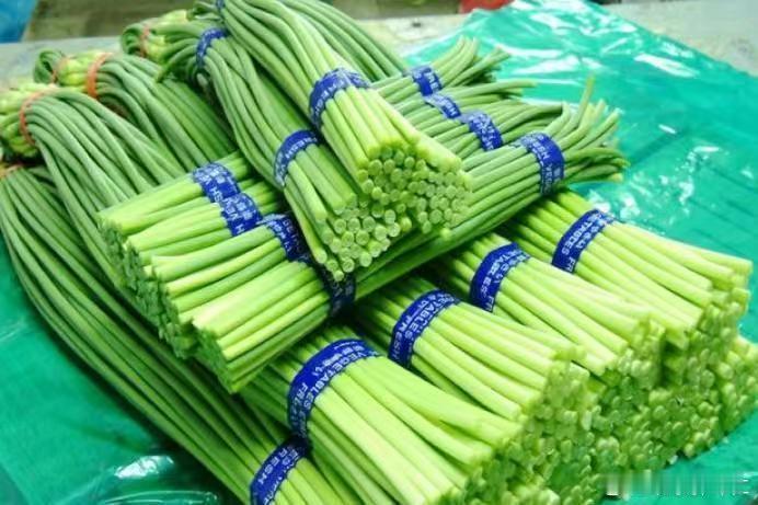 蒜薹太多抽不完？河南男子喊话网友免费抽蒜薹走红网络，当事人：热度远超预期，大家想