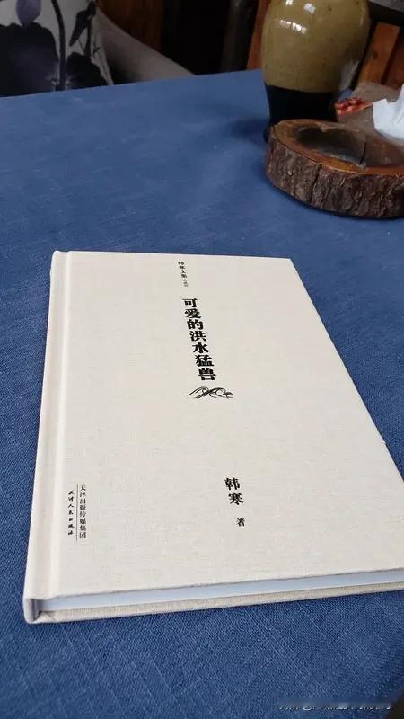 我读过不少让我感同身受的作者观点。刘同的《谁的青春不迷茫》里，他说“你觉得孤独就