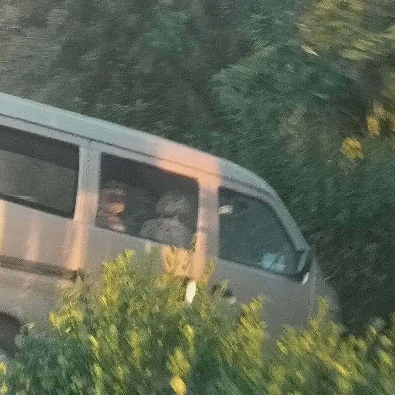 公安部交管局发布一批严重超员违法案例这些严重超员违法案例触目惊心，其中不乏一些小