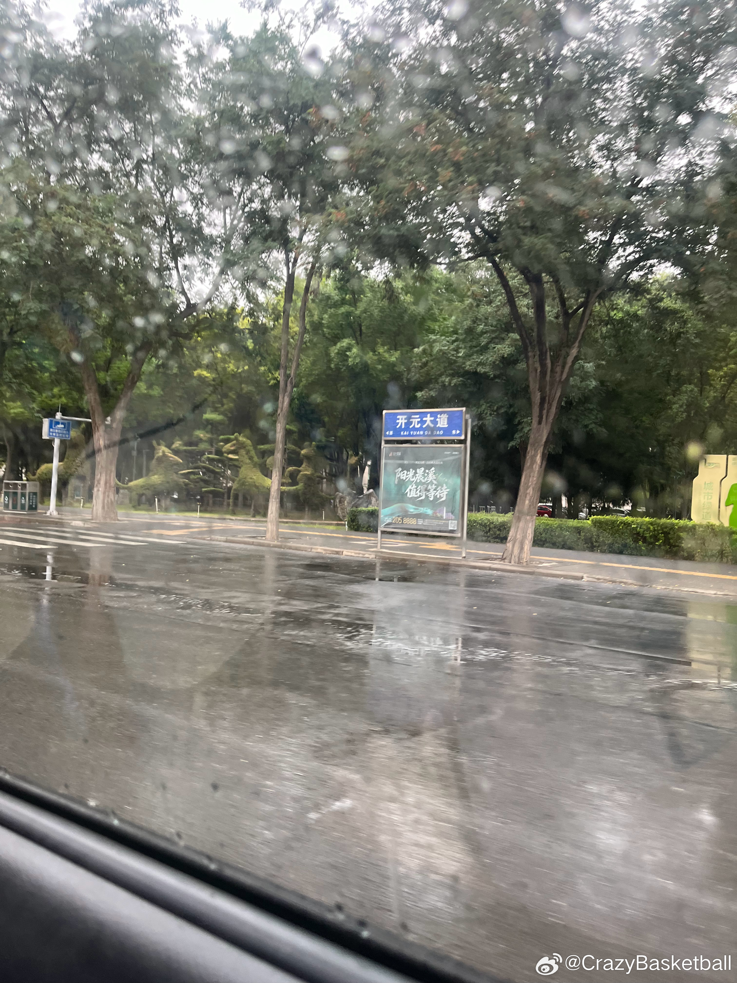 这两天开始下雨了🌧️ ​​​