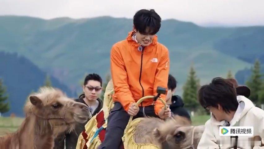 张极的骆驼疯了慌的是张泽禹团综沙漠片段封神，骆驼失控吐口水，主人张极淡定围观，无