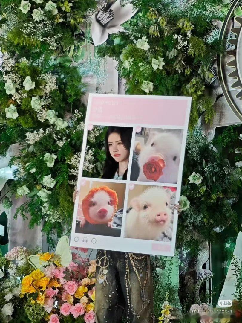 万花世界今天开机，应援排面拉满，鞠婧祎状态超好的！鞠婧祎万花世界