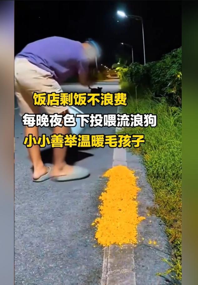 善举可贵！饭店老板巧用剩饭，温暖一群流浪狗狗
 
小小举动，却做到真正的一举两得