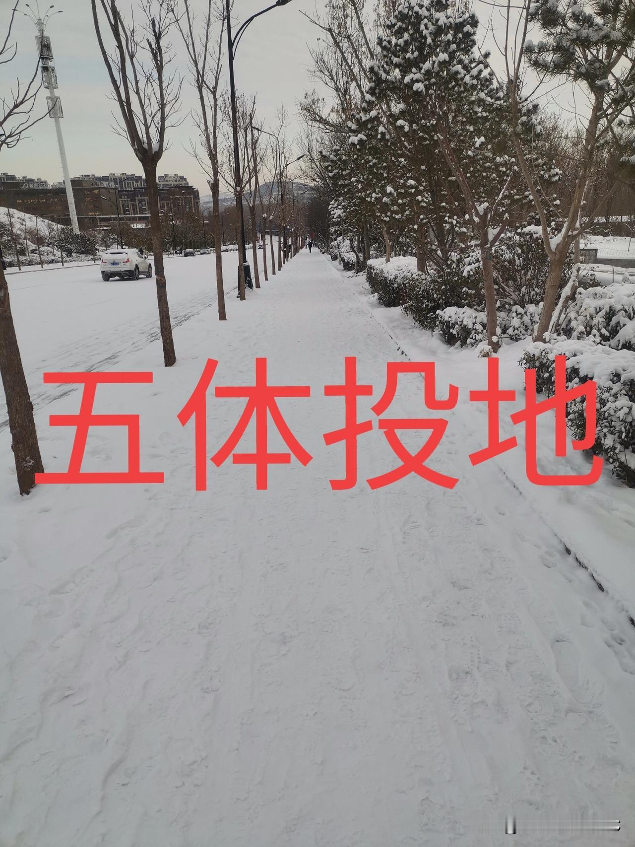 当形容一个人的行为和做事让你佩服的“五体投地”，这“五体”是指什么？广大网友你能