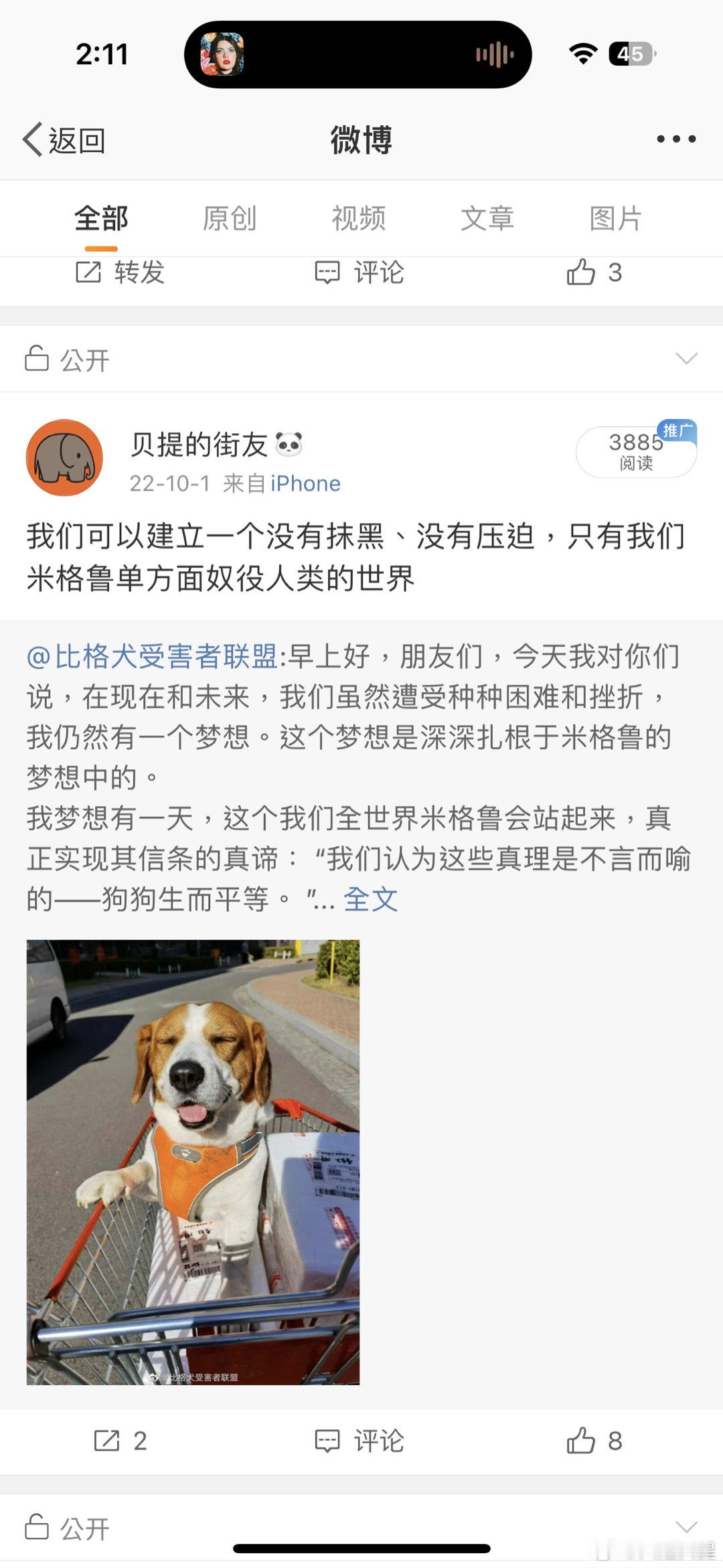 在曾属于自己的幽灵网海进行一次拾遗 