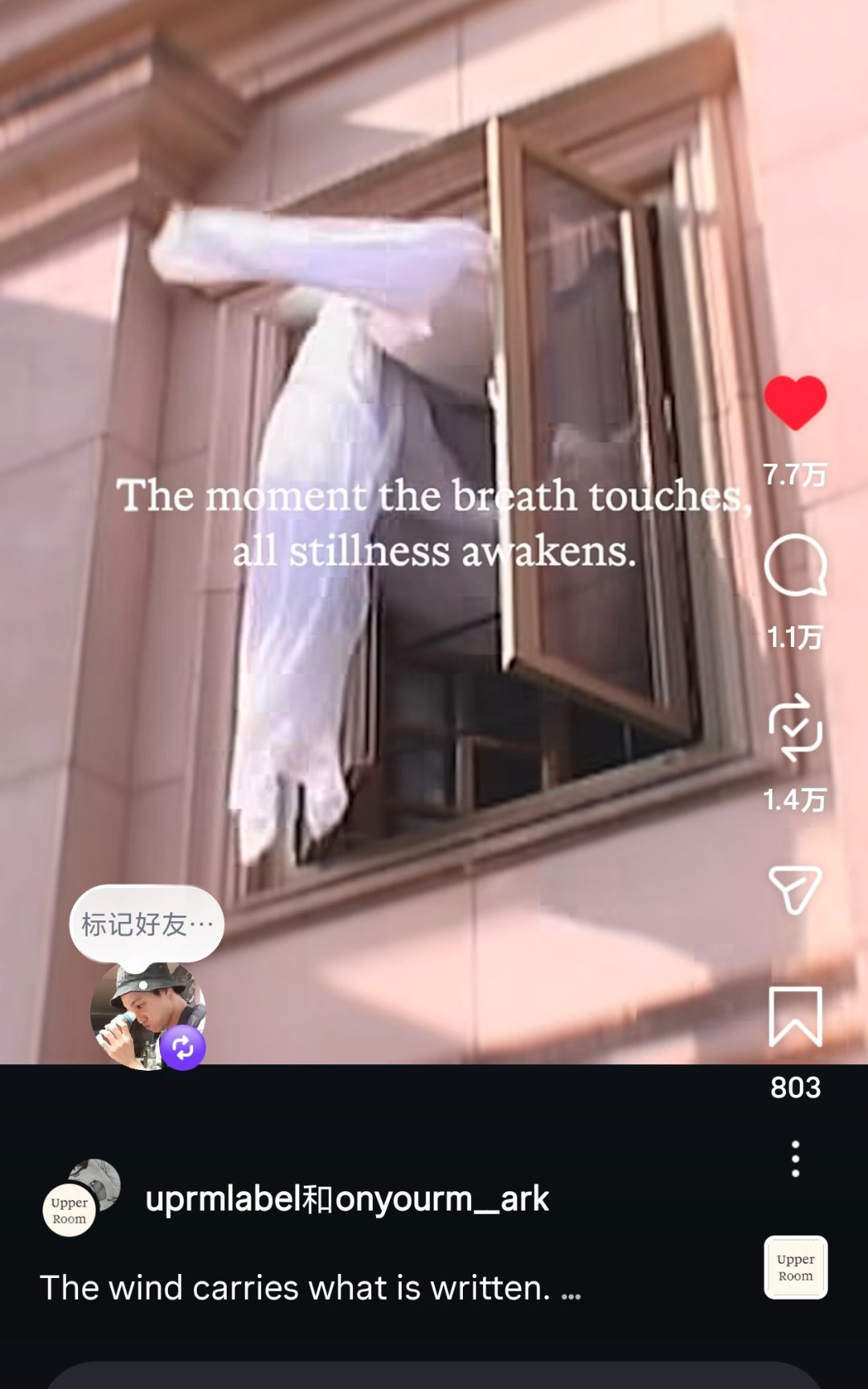 卧槽卧槽卧槽卧槽这是自己当老板吗，新公司？？？！我们要熬出头了啊啊啊啊，我就说你