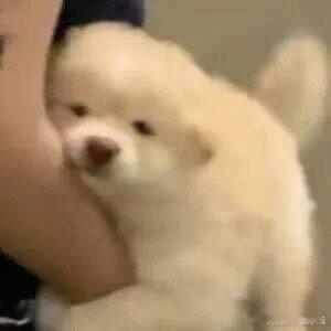 #同龄人游戏现状#虽然大家都在玩游戏，但是感觉也是有些许的不同了，也许有的人在玩