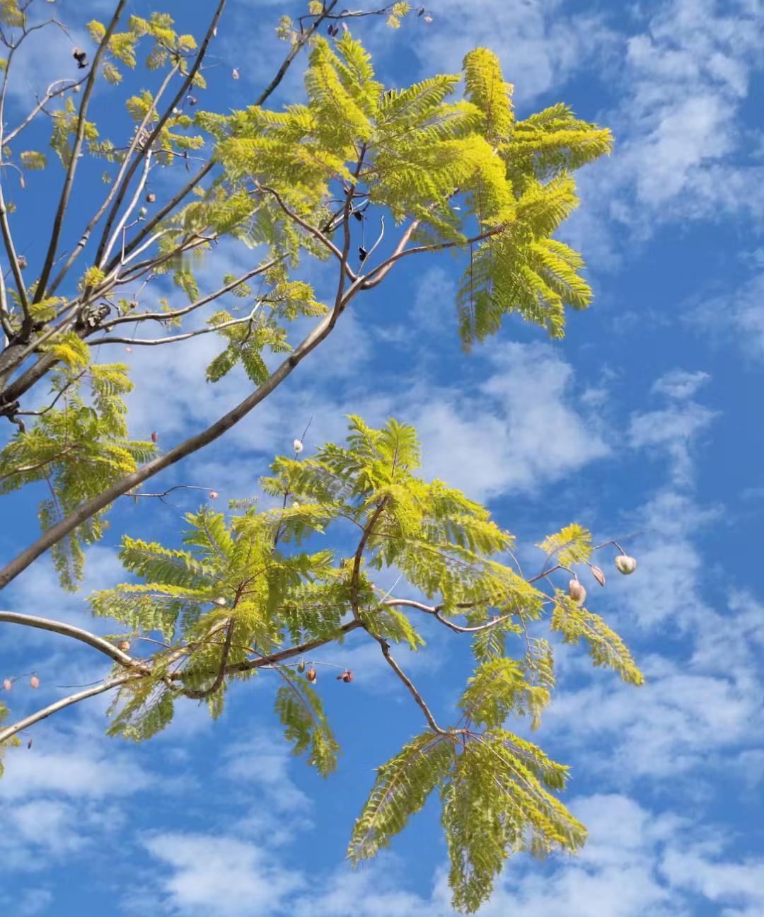 一个选择，改变了一家人的生活轨迹——她的故事令人深思。
曾经，她和老公在东莞打拼