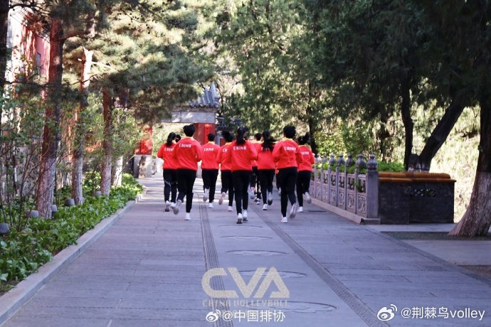 土耳其球迷：中国女排这次集训没有军训是什么意思？😄根据中国排协的信息瓜女第一批