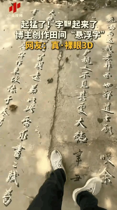 “真的太震撼了！”河南乡间麦田旁藏着别样惊艳美景，地面上工整大气的汉字并非手写而