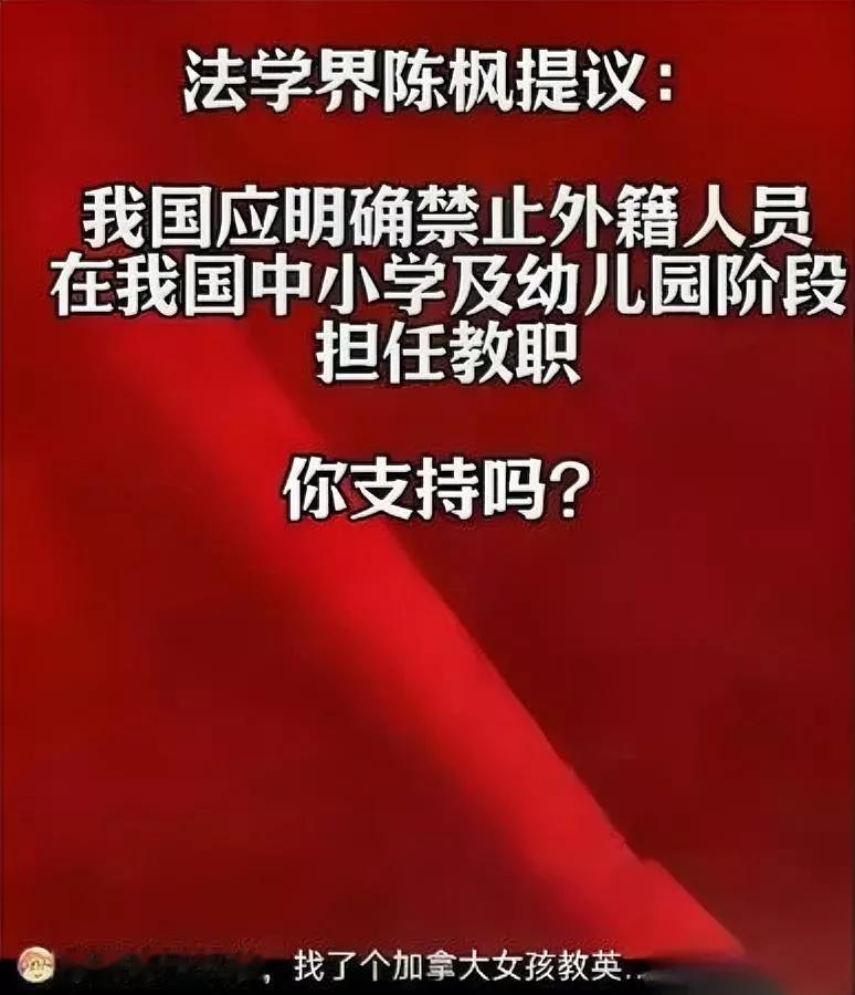 这事吵翻全网

你站哪边？

法学界居然提议立法禁低龄外教。

其实这事掰扯到最