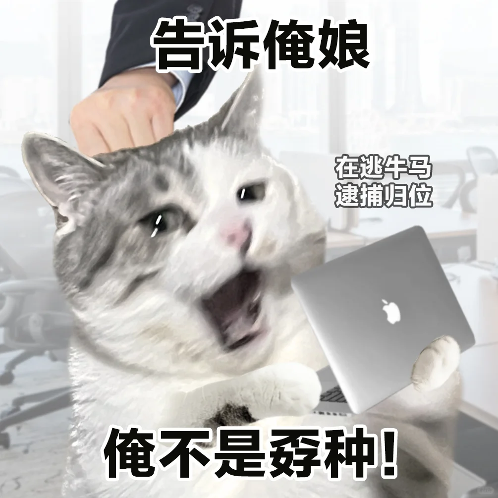 表情包 | 没事哒没事哒来上班已经很厉害啦