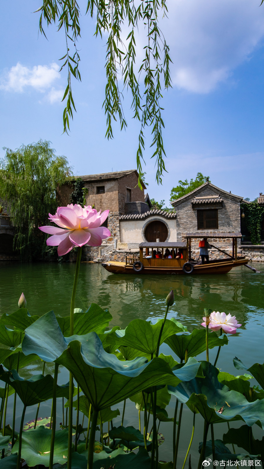 风很温柔，花很浪漫，你也很棒。早安，宝子们~#古北水镇#  #司马台长城#  #
