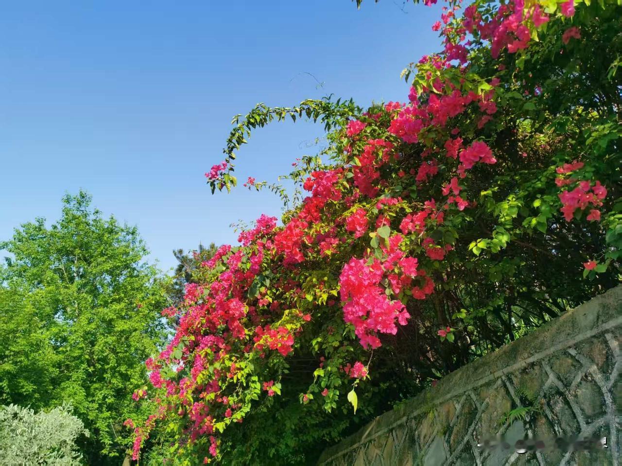 风风雨雨年年有，
快快乐乐岁岁安。
风风雨雨年年有，
健健康康天天随。
友友请出