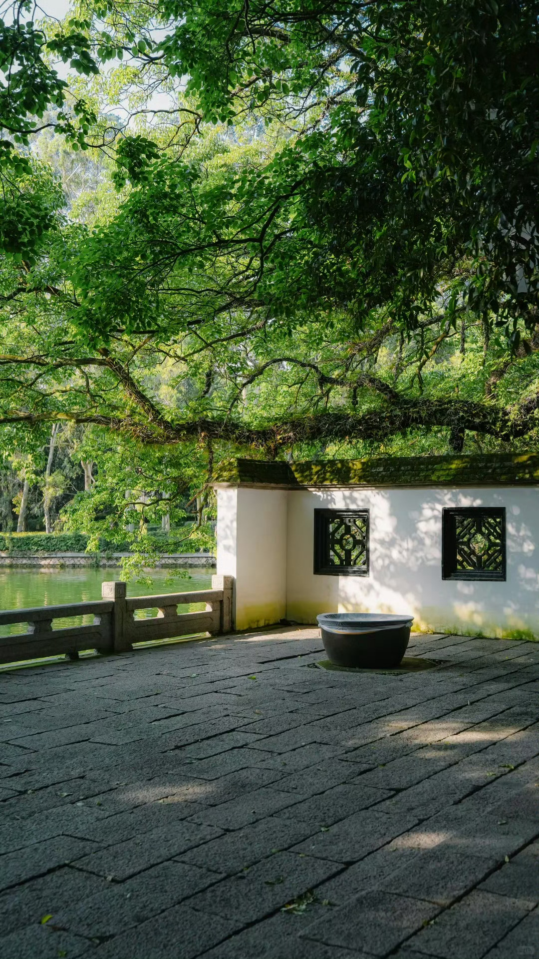 福州生活来福州浪一夏【西湖公园-桂斋】坐落于福州西湖畔的这处微观历史空间，凝结着