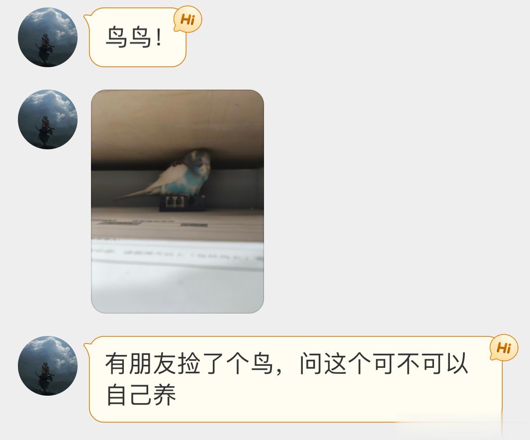 送分题环节～什么鸟，怎么办   小天才说[开学季]！ ​​​