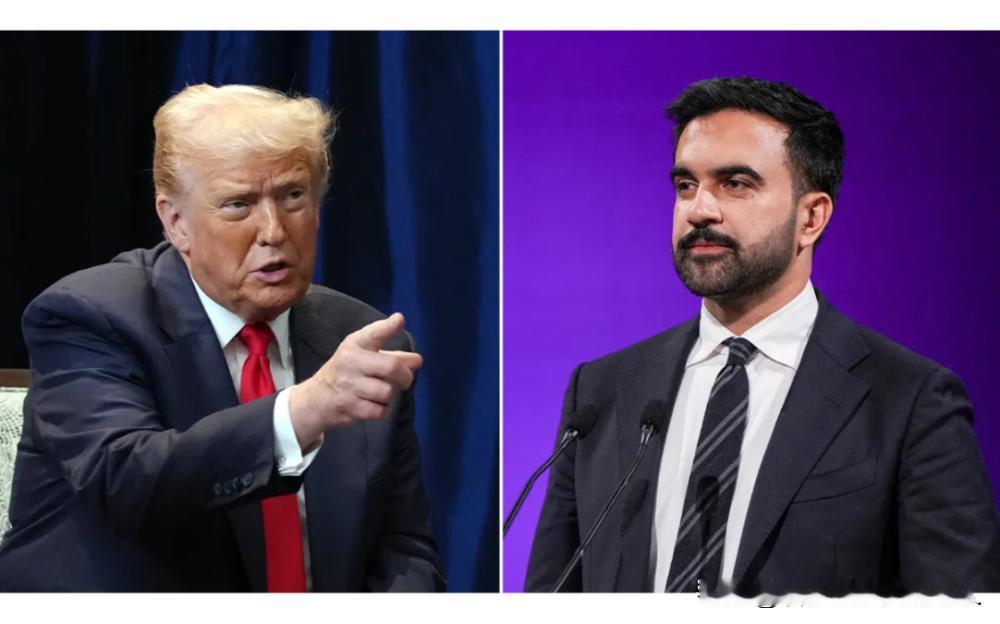 总统喊着谁敢抓就撤谁的职，市长偏说进城就逮人。同一个国家，联邦和地方为一个外国总