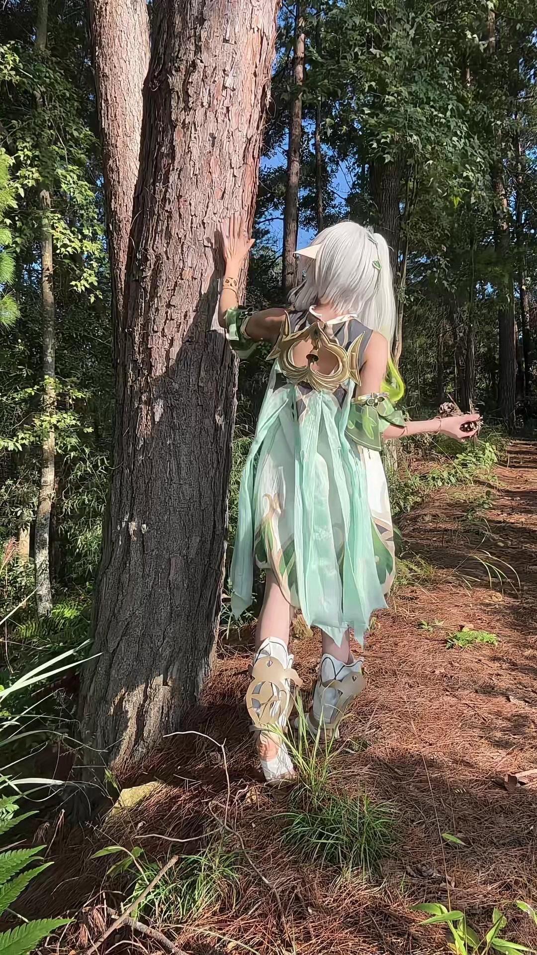 🌲在森林里捡到这么多松果是什么体验？今天化身纳西妲在提瓦特大陆探险，松果捡到手