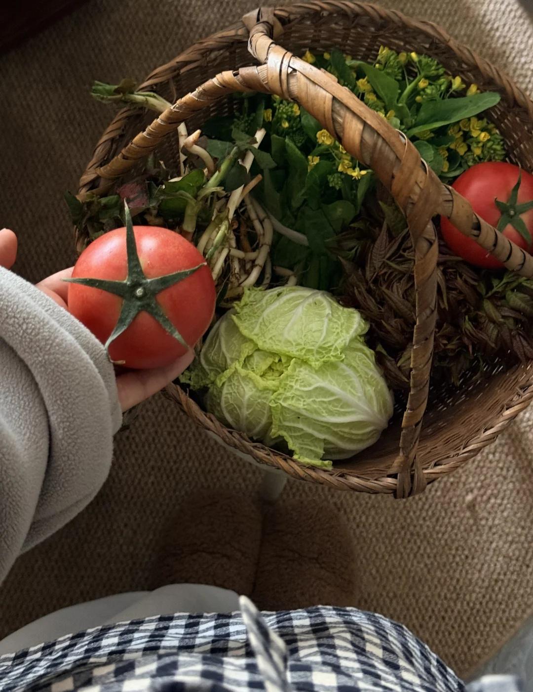 把菜市场的春天提回家｜宅家做饭
我家的春天真好吃 把春天的浪漫带上餐桌 爱逛菜市