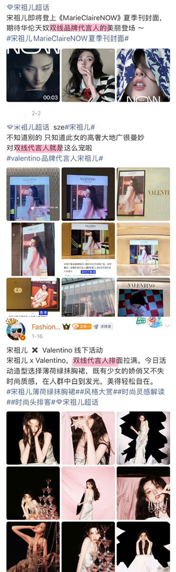 鹅毛的日常：爱鹅夸鹅 