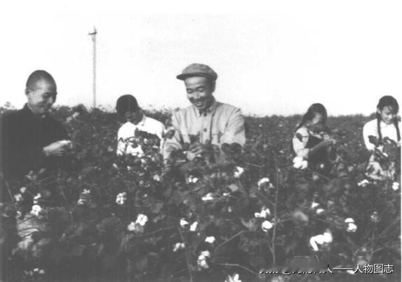 1965年秋，王任重在湖北孝感县金星大队拾棉花