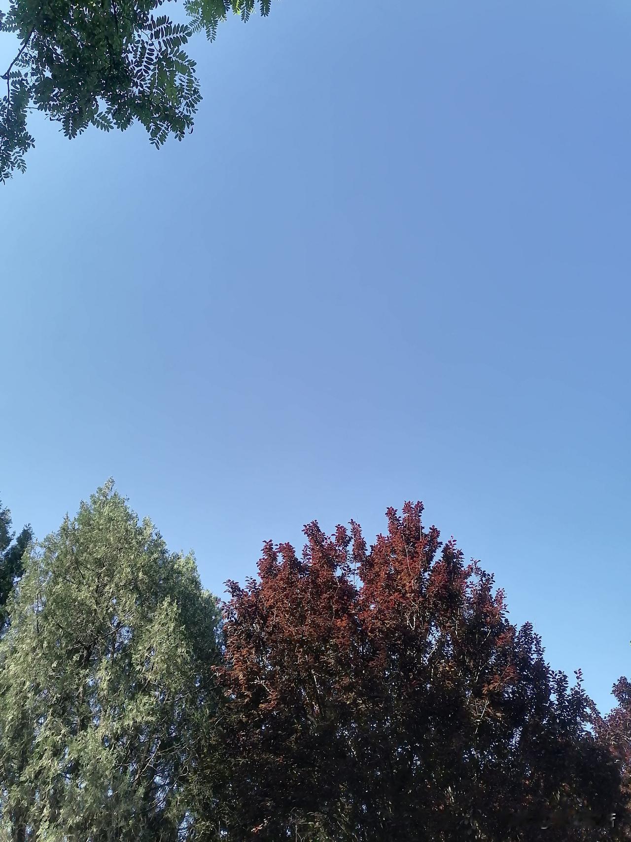 地藏经是地藏菩萨写的还是别人写的开篇就是“如是我闻”，当然是别人写的了，是阿难亲