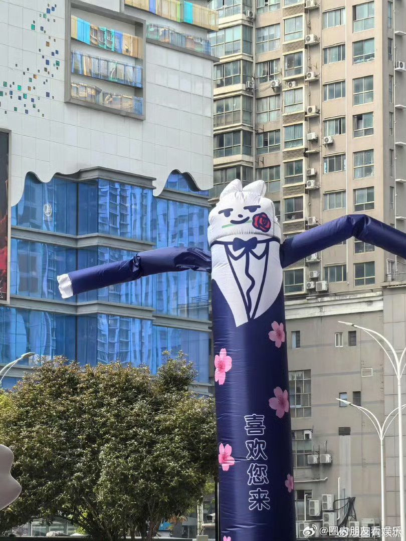 武汉把当地大学生宠出新高度武汉樱花季里的情绪搭子找到了大学生集体沦陷领结猫，武汉