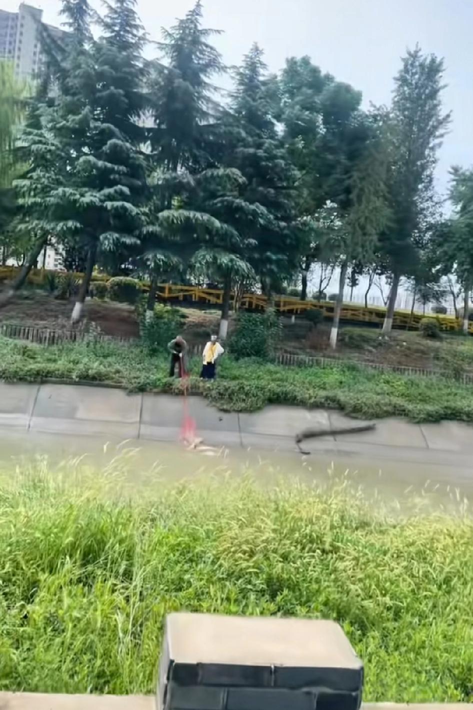 全网最厉害的吧，江苏资源这么好，明天一个步兵师的网鱼钓鱼佬到场
平时里面都没水，