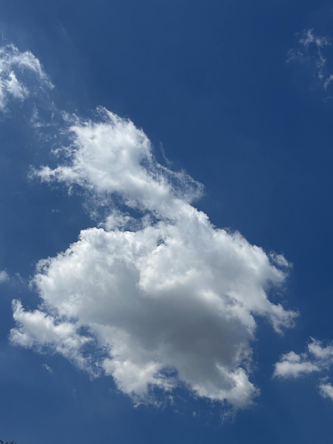 分享今日随手拍天津滨海新区雨后天空随手拍。