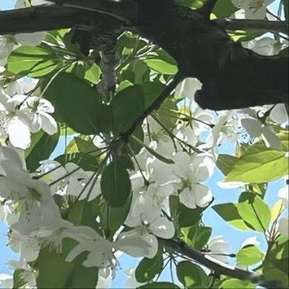 0000心有定力，不惧路遥人生不必强求立刻看到成果，很多努力都需要时间沉淀。不要