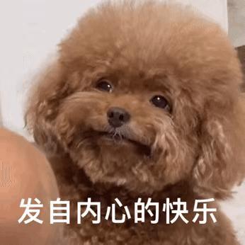 老一辈上班摸鱼有多离谱不得不说新一代吃尽了时代的黑利，老一辈摸鱼都不叫摸鱼了，都