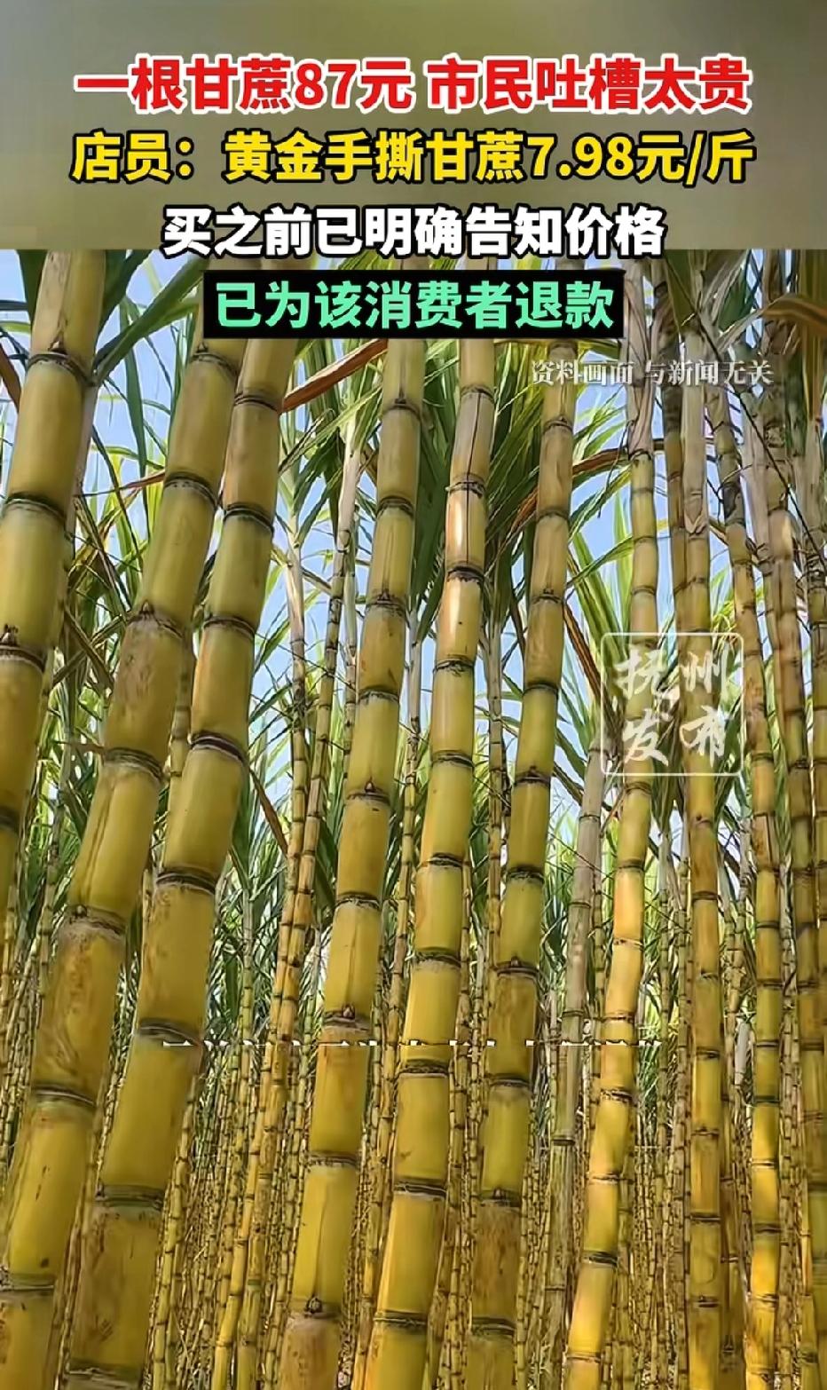 浙江绍兴，男子去超市买了一根黄金甘蔗，他本以为按根卖，不料工作人员称按7.98元