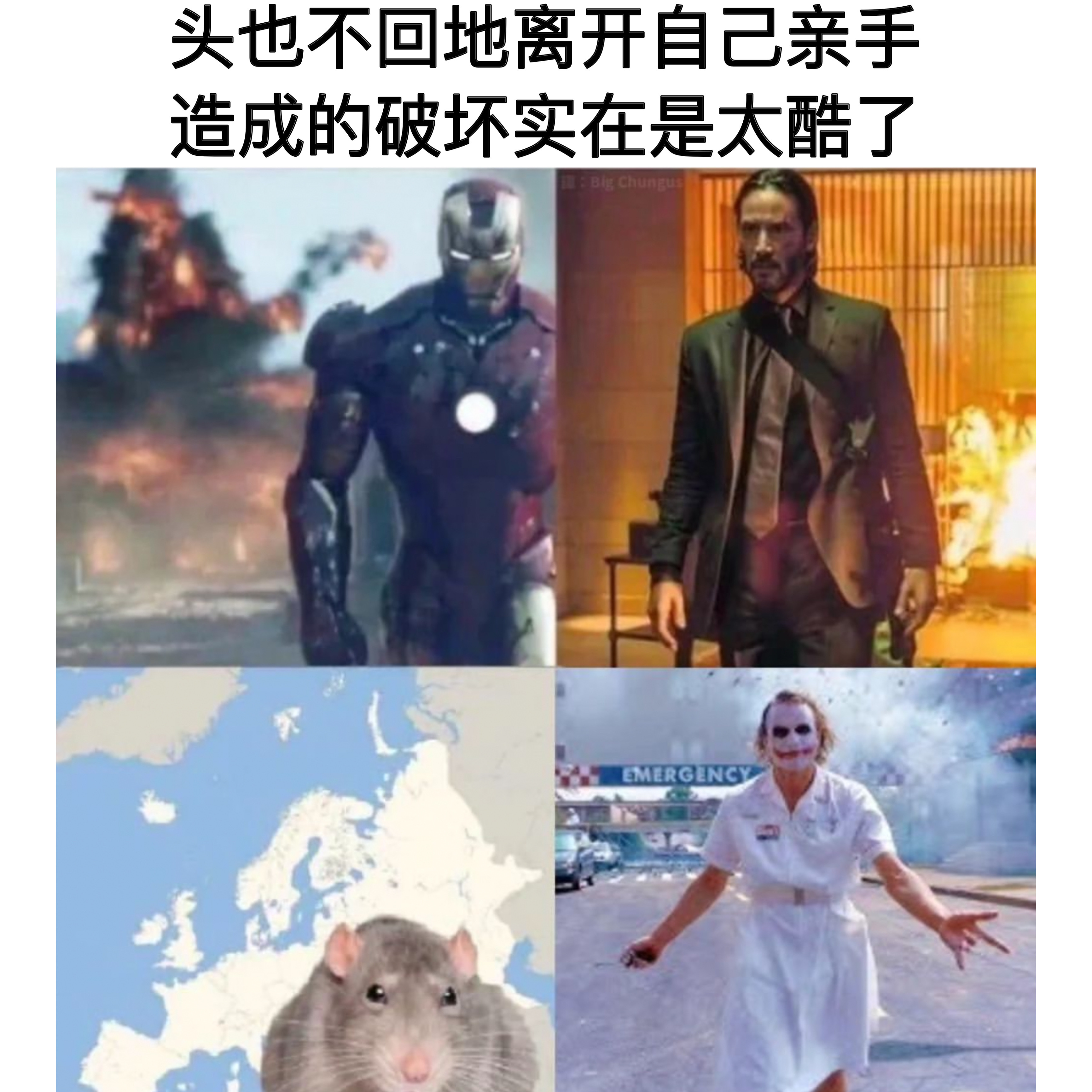 是黑鼠病啦#meme# ​​​