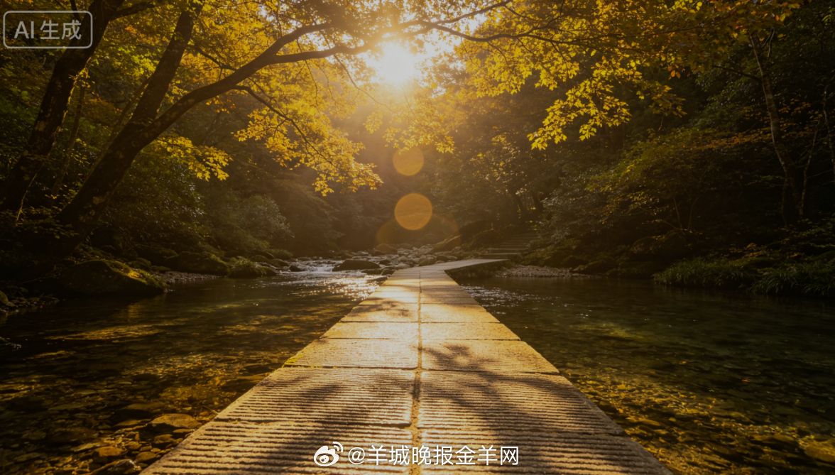 #早安# 朝阳穿过林间枝叶，洒下斑驳柔光，沿着清浅溪谷的石板路慢慢行走。溪水叮咚