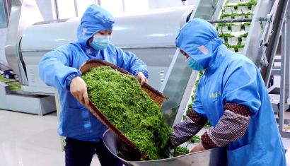 咱们来聊一所真正能让你“靠技术吃饭”的好学校——临沧职业学院。
这所学校你可能之