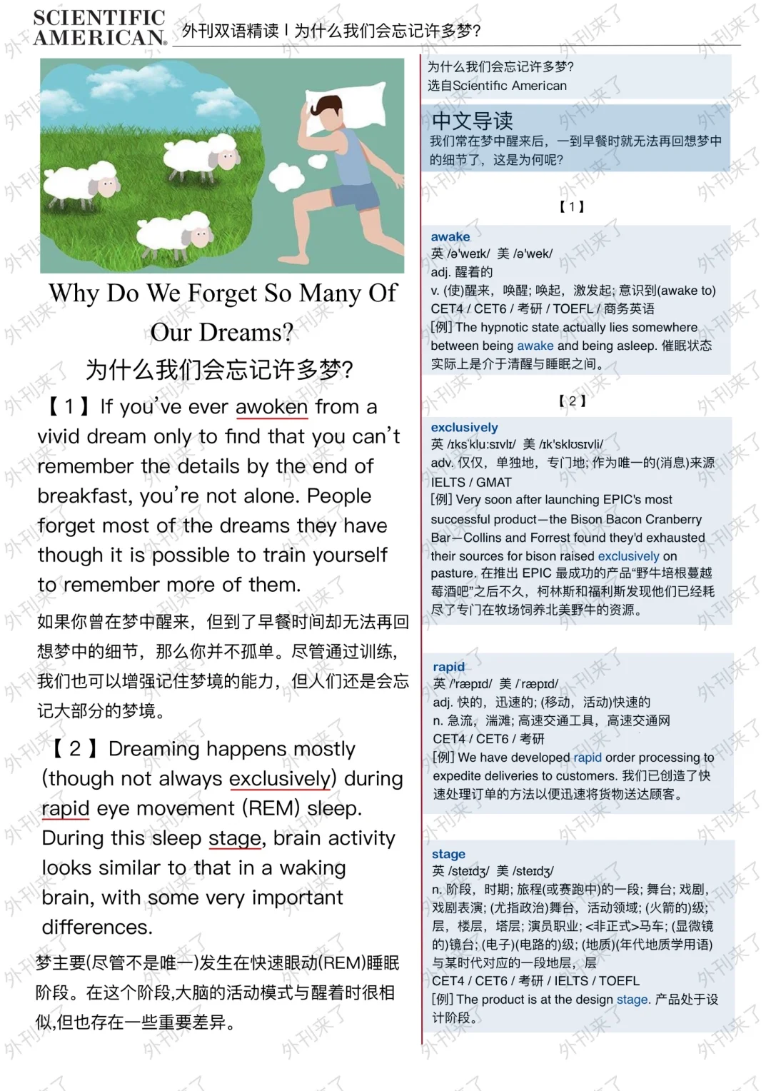 外刊精读193 | 为什么总记不起梦到什么....