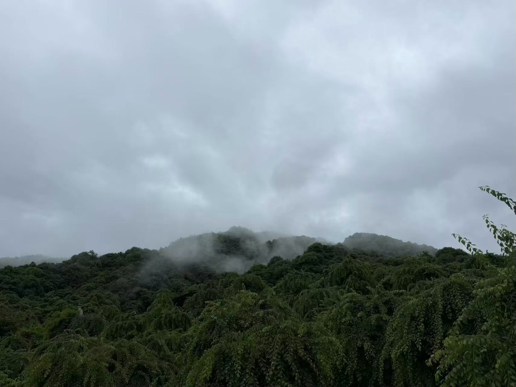 为什么要和绿水青山相伴，因为归宿就是如此。紫微斗数