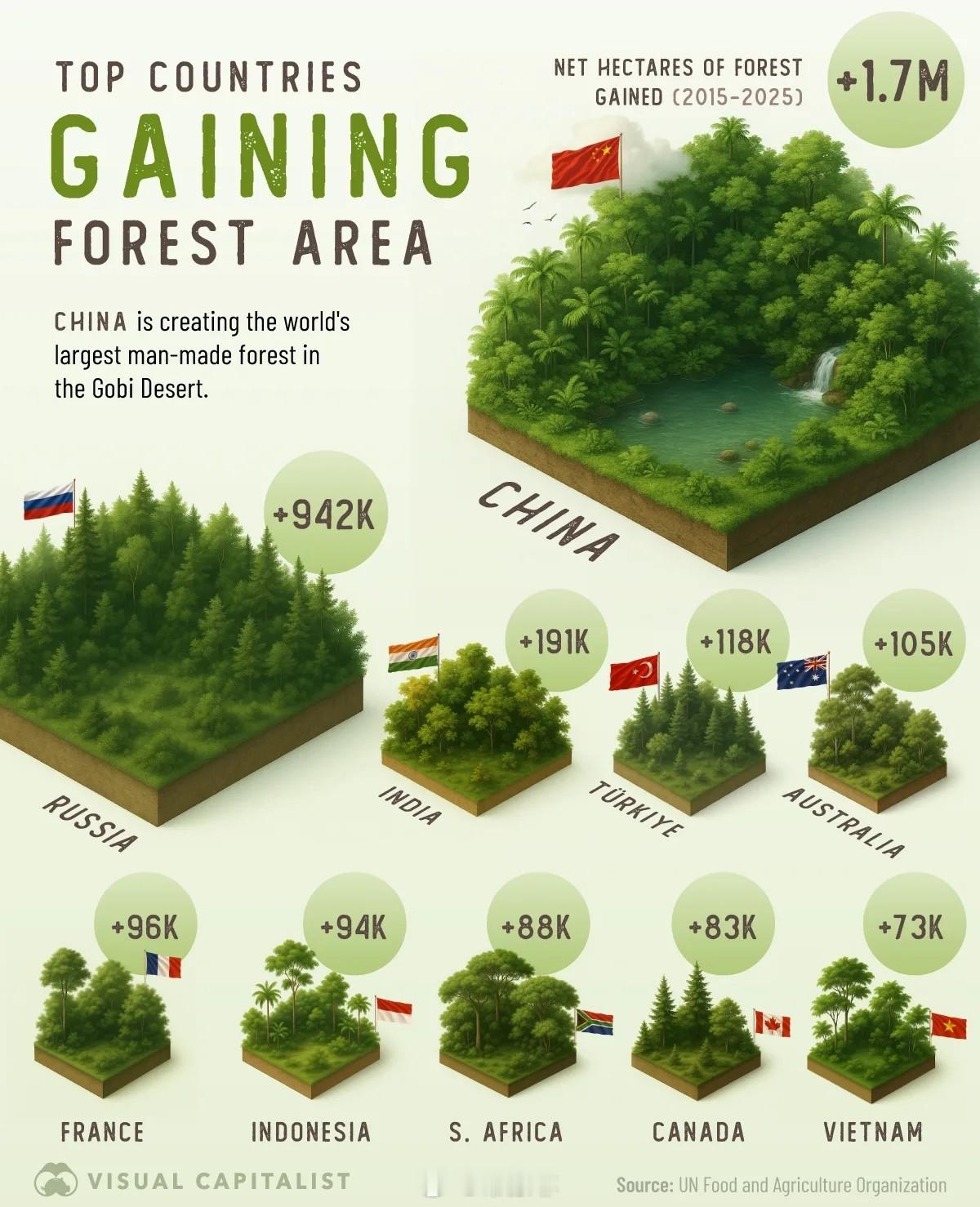 🌲过去十年森林面积增加最多的国家森林面积增长最快的国家：中国正在戈壁沙漠打造世