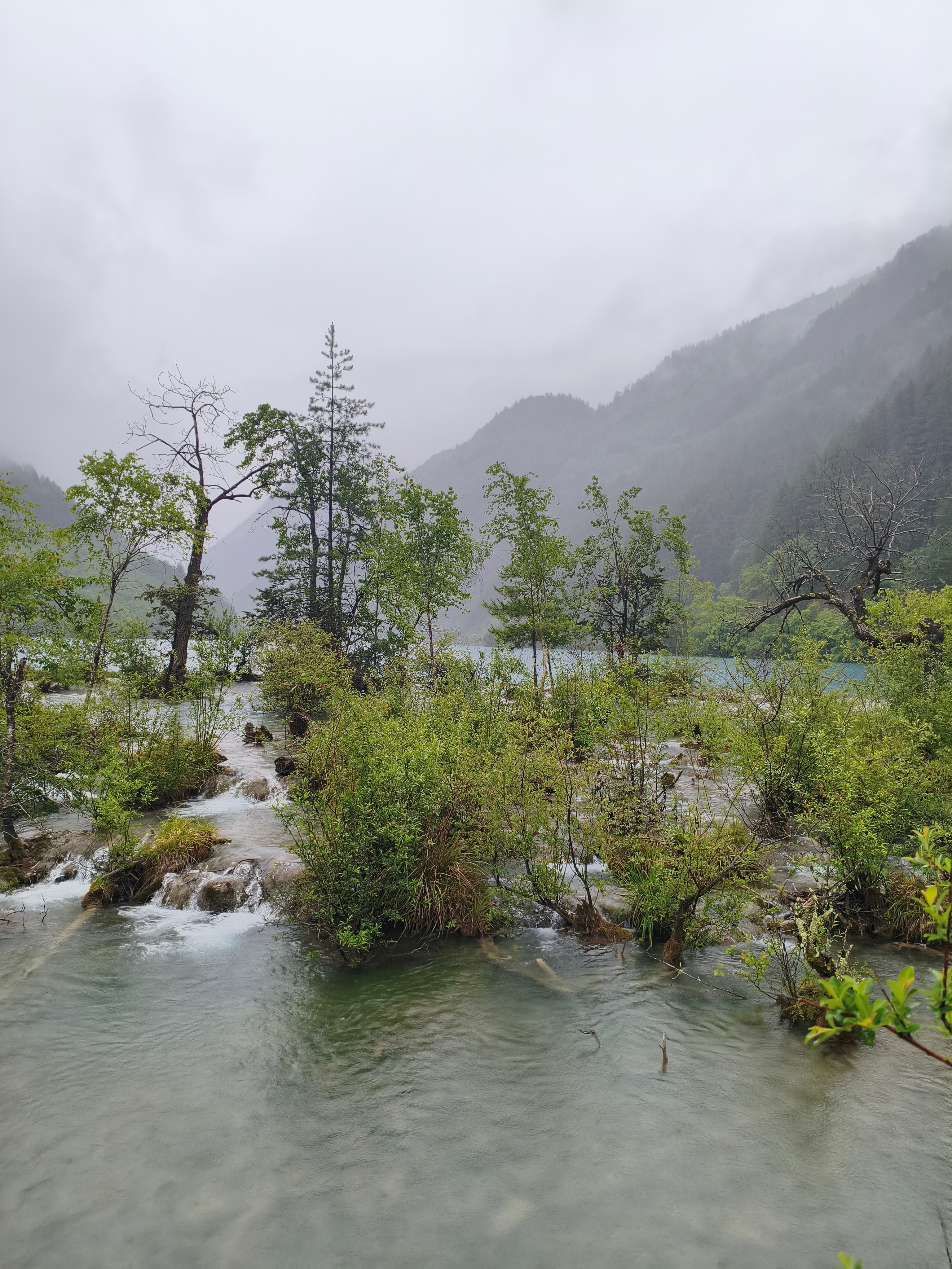 生活或许偶有阴雨，但善意永远是穿透云层的光。不必惊天动地，一个微笑、一次搀扶、一