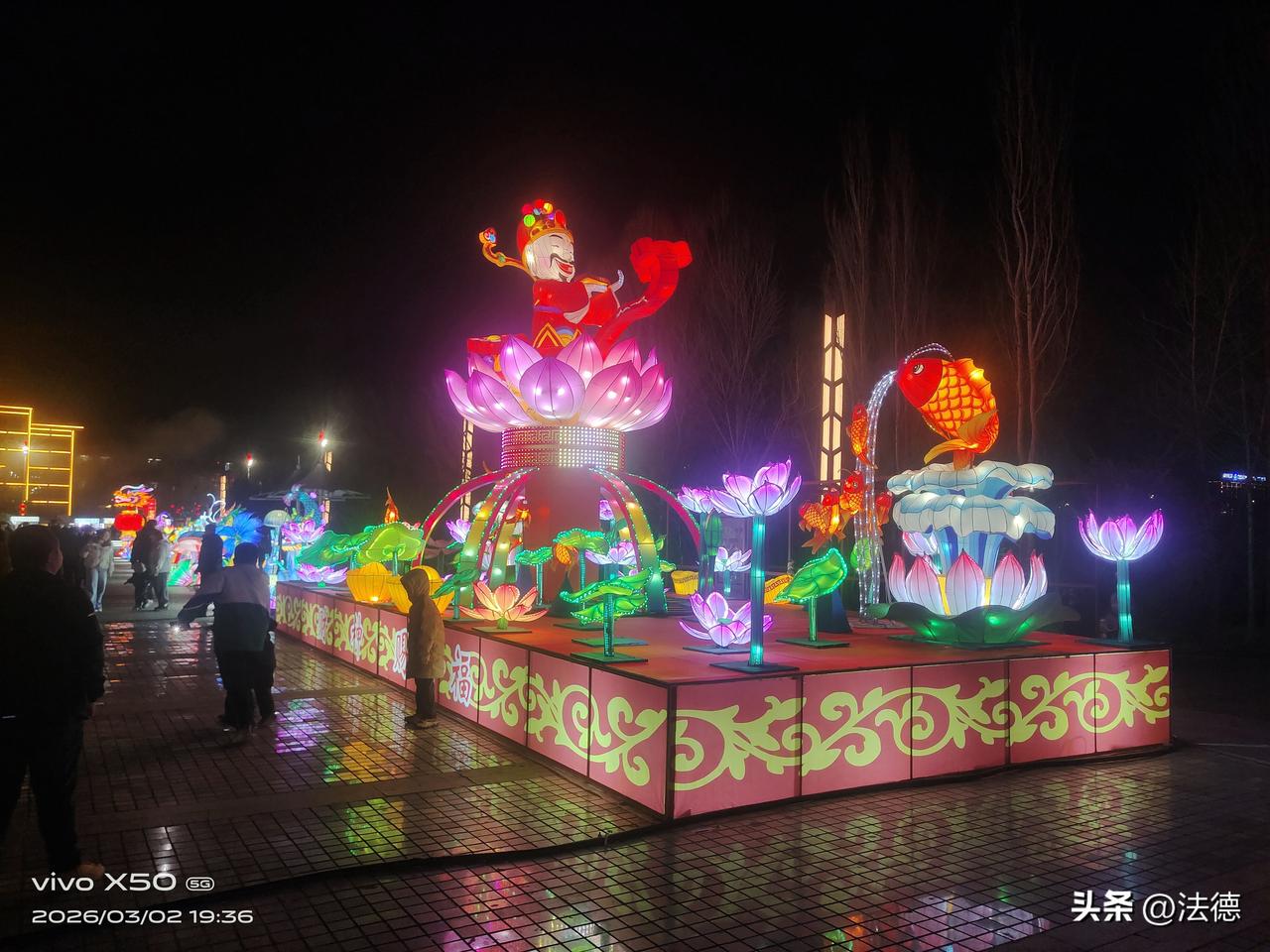 公园散步随手拍花莲灯映锦鲤，财袖踏春归，一园皆是人间好兆头。