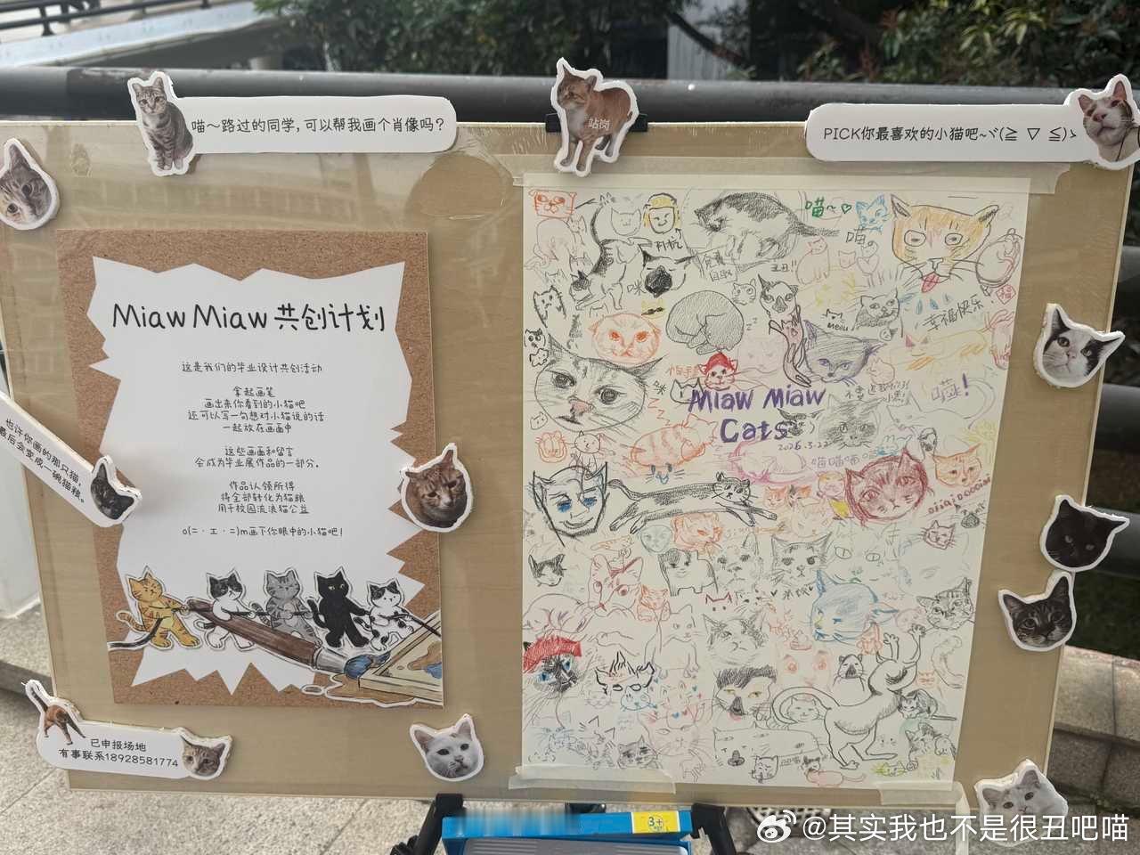 49422【丑猫】学校的丑猫局 