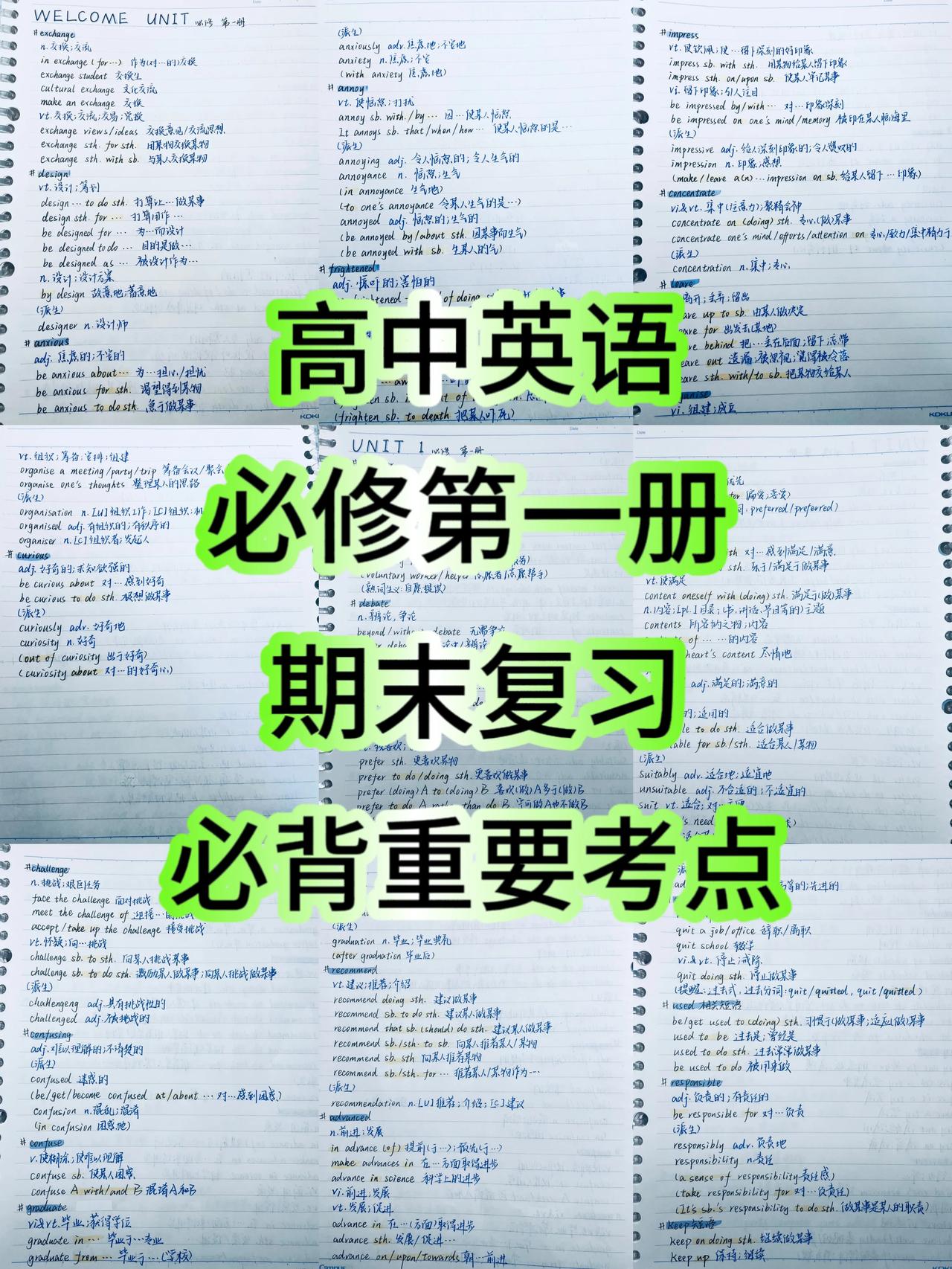 高中英语必修第一册，期末复习，各单元必背重要知识点总结，英语成绩比较差，基础弱的