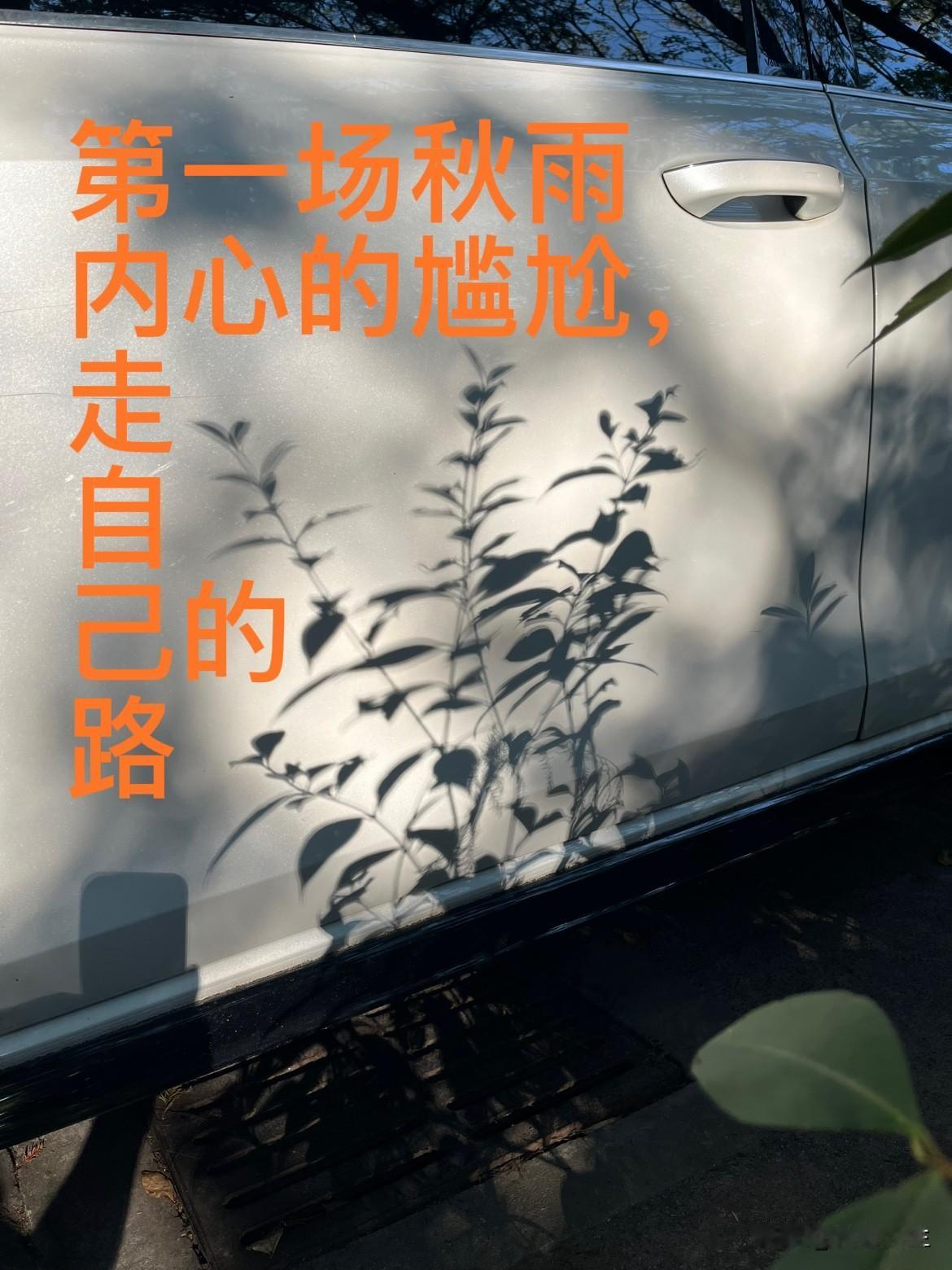 第一场秋雨却转晴，引发内心的尴尬。
早上6:00多起床，看了一会儿手机，闷一锅饺
