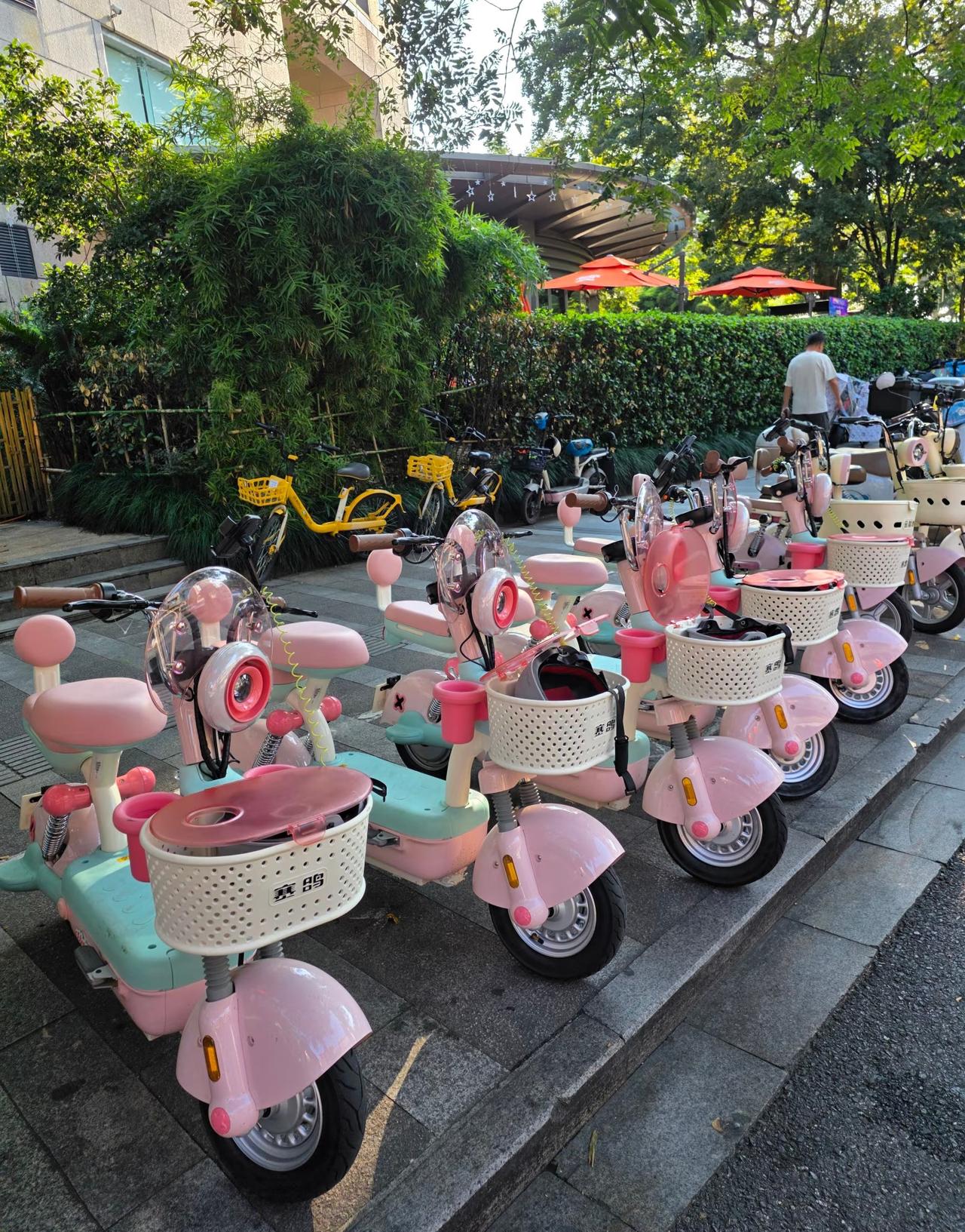 西湖边上的共享小电驴，
骑之前建议你最好先看一下！
去年西湖周边突然冒出了很多小