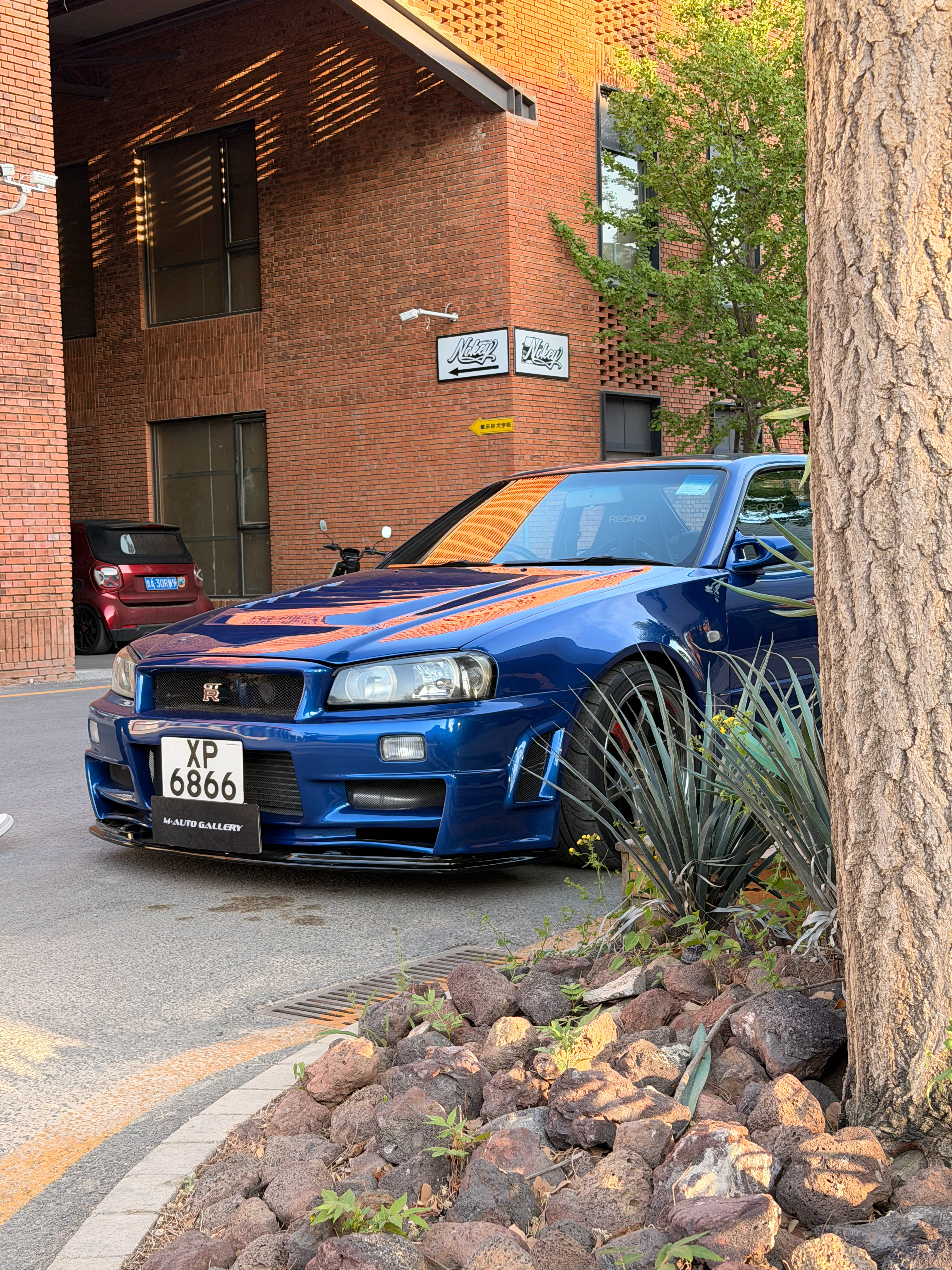 他真的太帅了！太帅了 