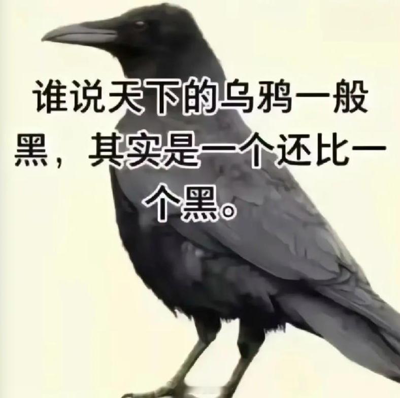 关于同赛道品牌竞争这件事，水军我只有一个观点：天下乌鸦一般黑。不同的是，有的水军